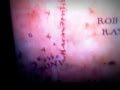 Harry Potter Subliminal messages
