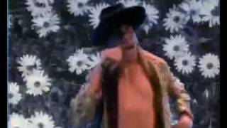 Watch Red Hot Chili Peppers Higher Ground video