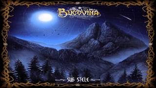 Bucovina - Spune Tu, Vant |2013|