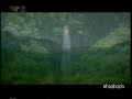 CUỘC SỐNG Ở RỪNG MƯA NHIỆT ĐỚI