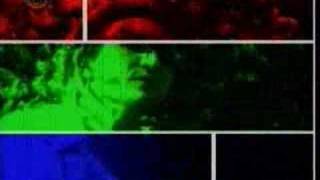 Watch Boom Boom Kid Kitty video