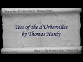 Video Part 6 - Tess of the d'Urbervilles Audiobook by Thomas Hardy (Chs 38-44)