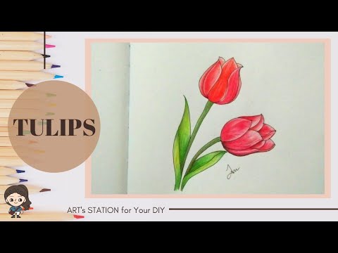 วาดดอกทิวลิปอย่างง่ายๆ สามารถทำตามได้ l How to draw Tulips easy way to learn it.