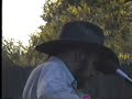 BLAZE FOLEY sings IF I COULD ONLY FLY