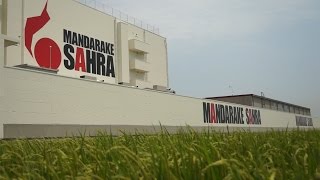 ?????SAHRA????Mandarake SAHRA in Operation?