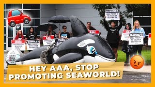 Animals Die at SeaWorld and AAA Doesn't Care