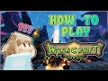 A Beginner's Guide to Wynncraft!