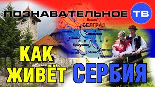 Как живёт Сербия (Познавательное ТВ, Драгон Станоевич)