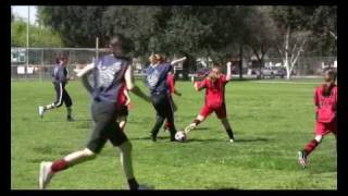 6APLpj1TF1g Video Image