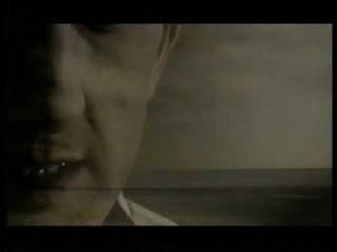 Many Weathers Apart Video