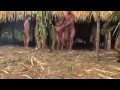 Hakani: Missionaries accuse tribes of burying children alive