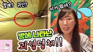 밤마다 방안에서 무서운 소리가 들려요!! 설마 귀신은 아니겠죠?!ㅣ토깽이네상상놀이터RabbitPlay