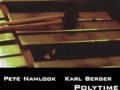 Pete Namlook & Karl Berger - Polytime