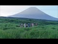 サカナクション／「夜の踊り子」MUSIC VIDEO