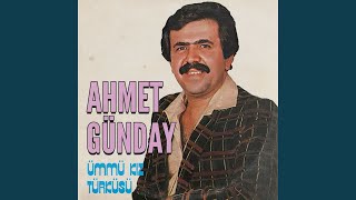 Bir Yiğit Gurbete Gitse