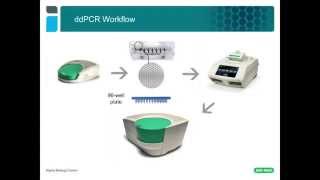 Droplet Digital Pcr Tips & Tricks Ddpcr Ay Design