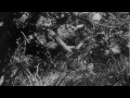 Tarzan Naked Swim 1934 Tarzan And His Mate Johnny Weismuller ...