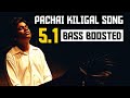 PACHAI KILIGAL 5.1 BASS BOOSTED SONG | INDIAN | A.R.RAHMAN | DOLBY | BAD BOY BASS CHANNEL
