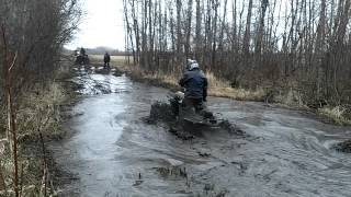 arctic cat 700 mud pro vs can am renegade 800