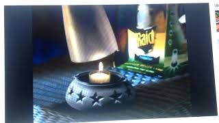 Raid 2006 Ad