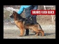 Движения. Возраст 1 год.