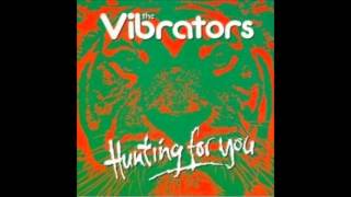 Watch Vibrators Hunting For You video