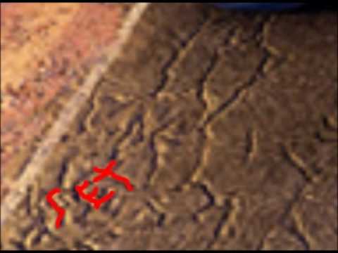 mensajes subliminales disney