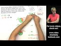 Atomic Mass: How to Calculate Isotope Abundance