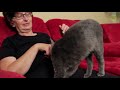 11 Things Your Cat Doesn't Like About You