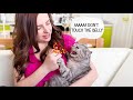 11 Things Your Cat Doesn't Like About You
