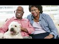 There's a Retirement Home for Pets in Japan
