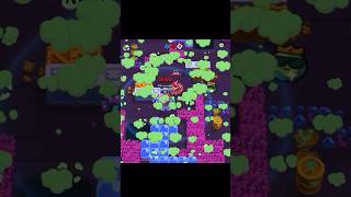 Lily 226 X 7600 Gale Ho Is Winner?