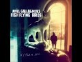Noel Gallagher's High Flying Birds - If I Had A Gun (Lyrics) video