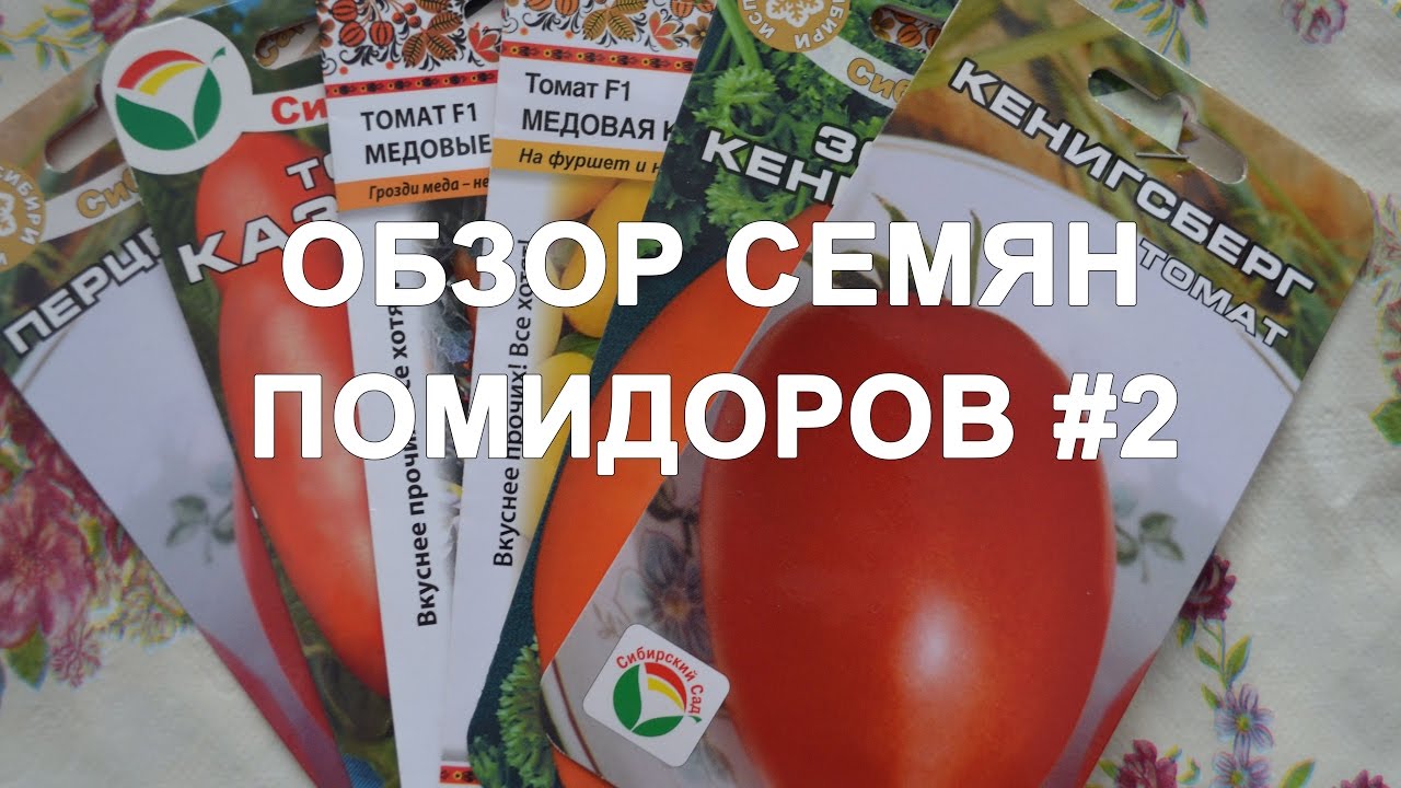 Семена помидор для домашних условиях Семена помидор для домашних условиях