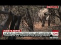 Hunter says killing rhinos will help save the species