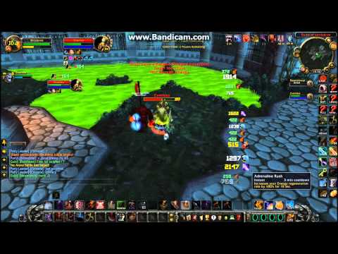 World Of Warcraft Combat Rogue Rotation Tutorial