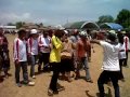 image Sapeh Sono Kontes Kecantikan Sapi Madura