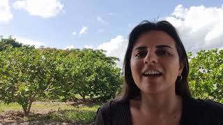 MEET 2022 Brazilian Scholar Renata Rossetto Lopes