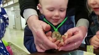 Kids and Pets Day!