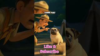 The Pug Was Kicked Out Without Being Guilty