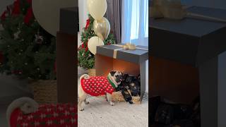 ДЖОНИ ПОДОРВАЛ ХЛОПУШКУ 😱