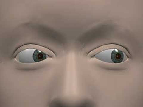 Eye Movement Terminology - YouTube
