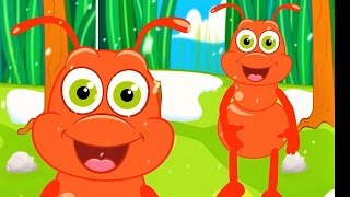 Karınca Çocuk Şarkısı -Onur Erol- Karamela Sepeti Çocuk Şarkıları