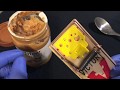 How to Set a Mouse Trap with Peanut Butter