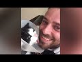 When The Catnip Kicks In | Funny Cats Compilation