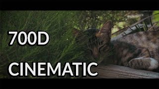 Cinematic Look Shoot With Canon 700Dt5I With Cine Style