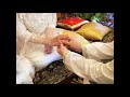 Kasih Sayang Suami Isteri A Ramlie Maria Bachok images Kasih Sayang Suami Isteri A Ramlie Maria Bachok