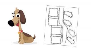 canine chiropractic care