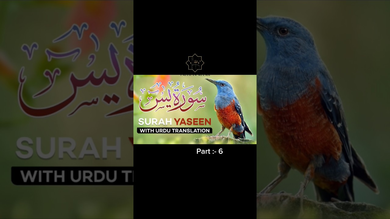 Surah Yaseen (Part:-6) Urdu Translation – Maulana Fateh Surah Yaseen (Part:-6) Urdu Translation – Maulana Fateh