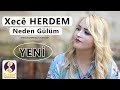 Xecê Herdem - Neden Gülüm (Akustik)